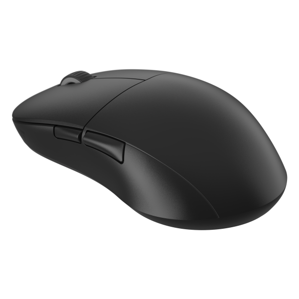 U6424-MOUSE