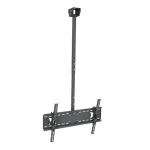 DİVAR ASQISİ YUPİTER YP565